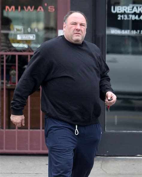 james gandolfini cause of death.